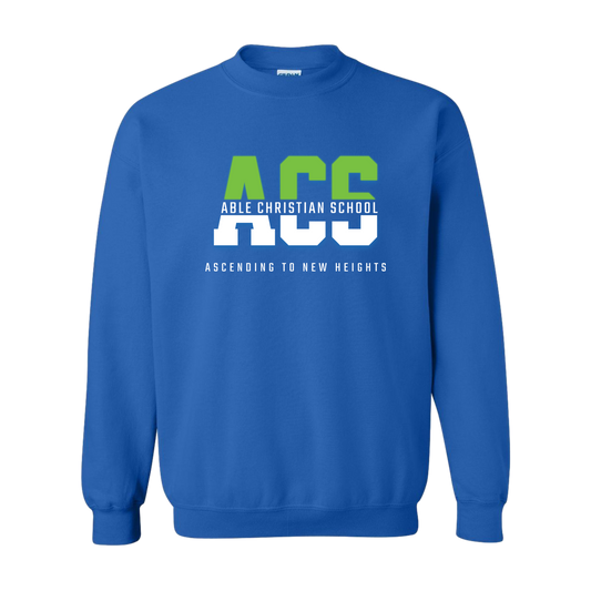 Blue Sweatshirt